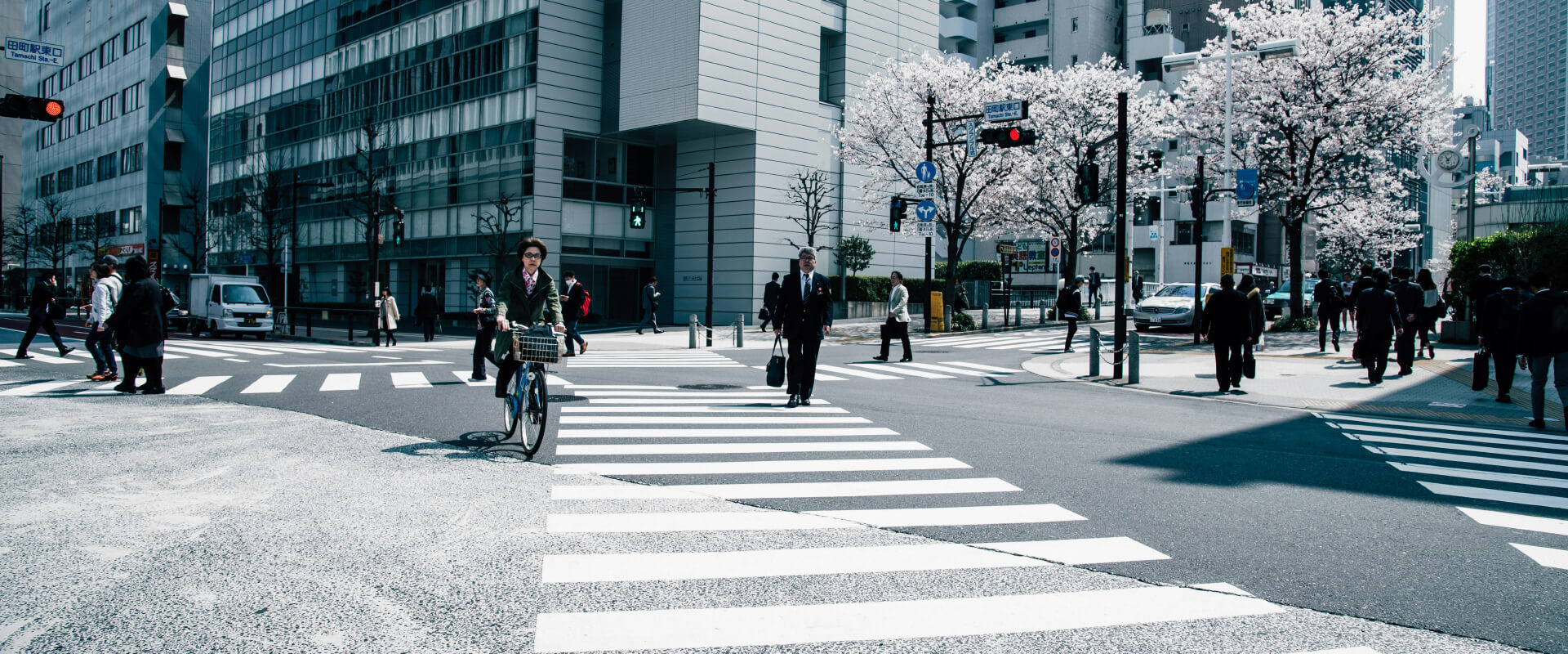 1Win Owner Country & Headquarters